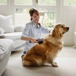 Best Vacuums For Pet Hair