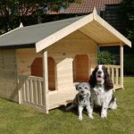 Great Dog Kennels For The Dog