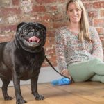 A Dog Care Insurance Primer