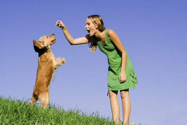 9 Essential Puppy Training Tips for New Pet Owners