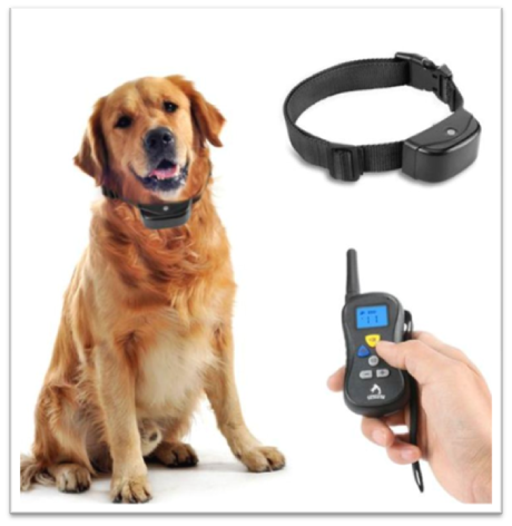Is it Okay To Use A Shock Collar On A Puppy?