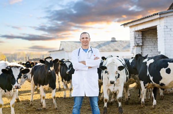 The Importance of Qualified Veterinarians for Agriculture