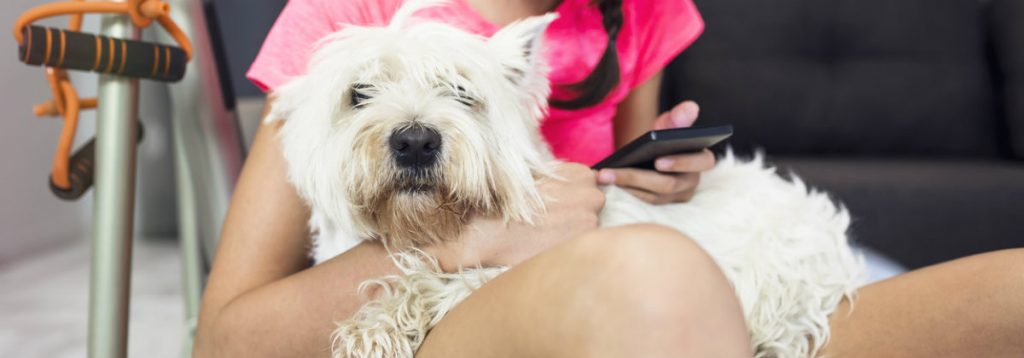Do You Have Your Pet’s Health Adequately Covered?