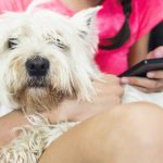 Do You Have Your Pet’s Health Adequately Covered?