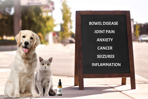 8 Main Benefits of CBD Hemp Oil For Pets