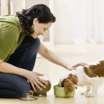 Three best Vision supplements for dogs