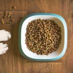 Which Dog Food Is Good For The Dogs And Has Benefits?