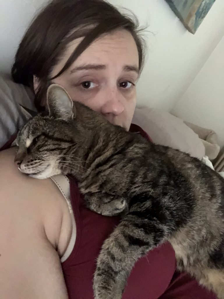 Goodbyes Are Never Easy – Home Euthanasia for Your Beloved Cat
