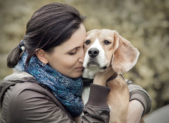 How To Ensure Your Dog Is Happy and Healthy