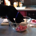 The Most Important Natural Supplements for Pets