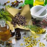 All You Need To Know About Natural Supplements For Animals