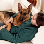How to Prepare for Bringing a Dog Home