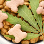 Eight Surprising Uses for CBD Peanut Butter