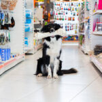 Get Pet Supplies and Services at Competitive Prices