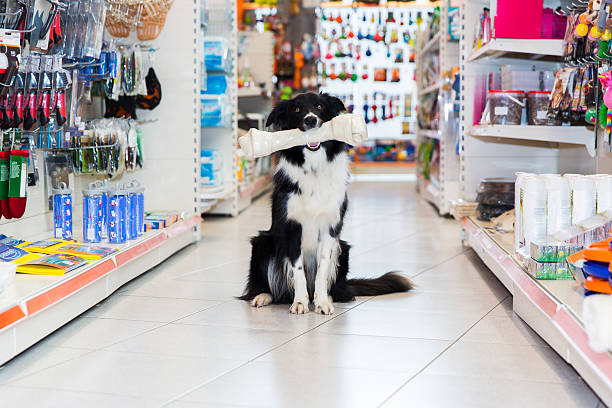 Get Pet Supplies and Services at Competitive Prices