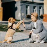 Things to Consider Before Getting a Pet