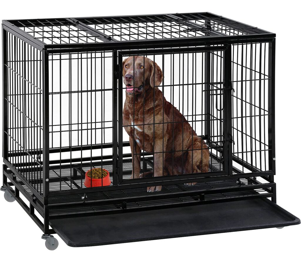 Matt Davies Harmony Communities Considers Different Dog Crates for Transporting Your Pet