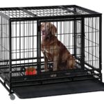 Matt Davies Harmony Communities Considers Different Dog Crates for Transporting Your Pet