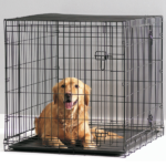What are the best brands of dog crates on Chewy?