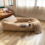 Investing In A Human Sized Dog Bed: Is It Worth It?