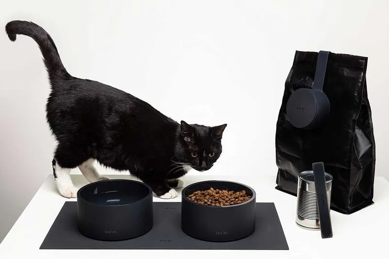 Cat Food and Accessories That Improve the Entire Cat Ownership Experience