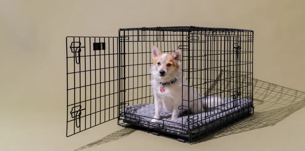 How to Measure Your Pet for a Dog Cage