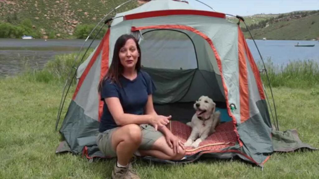What To Do Before Camping With Your Pet