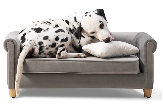 Comfortable and Durable dCee Pet Sofa with Joint Health Support