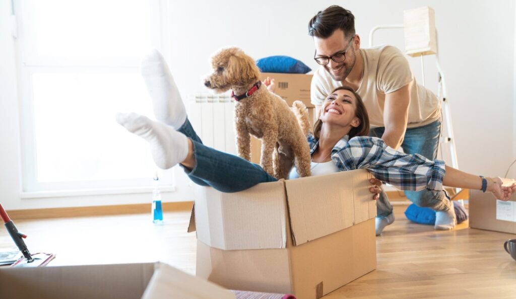 Making A Move With Your Pet