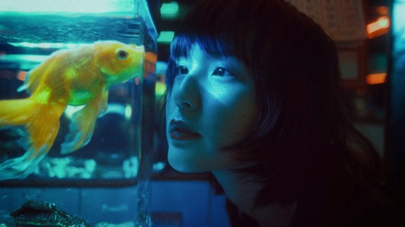 Tankmates for Goldfish: Compatible Species and Considerations