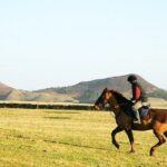 Transforming Your Horse’s Musculature with Strategic Exercise Regimens
